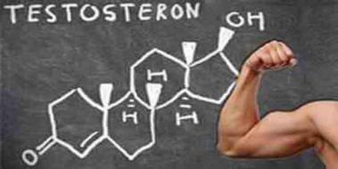 Serbest Testosteron