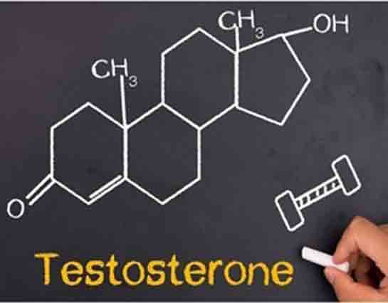 Testosteron Hormonu Artırma